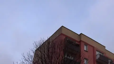 Niepełnosprawne dzieci potraktowali jak zdrowe