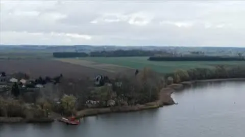 Martwe alpaki w ośrodku nad jeziorem Gopło