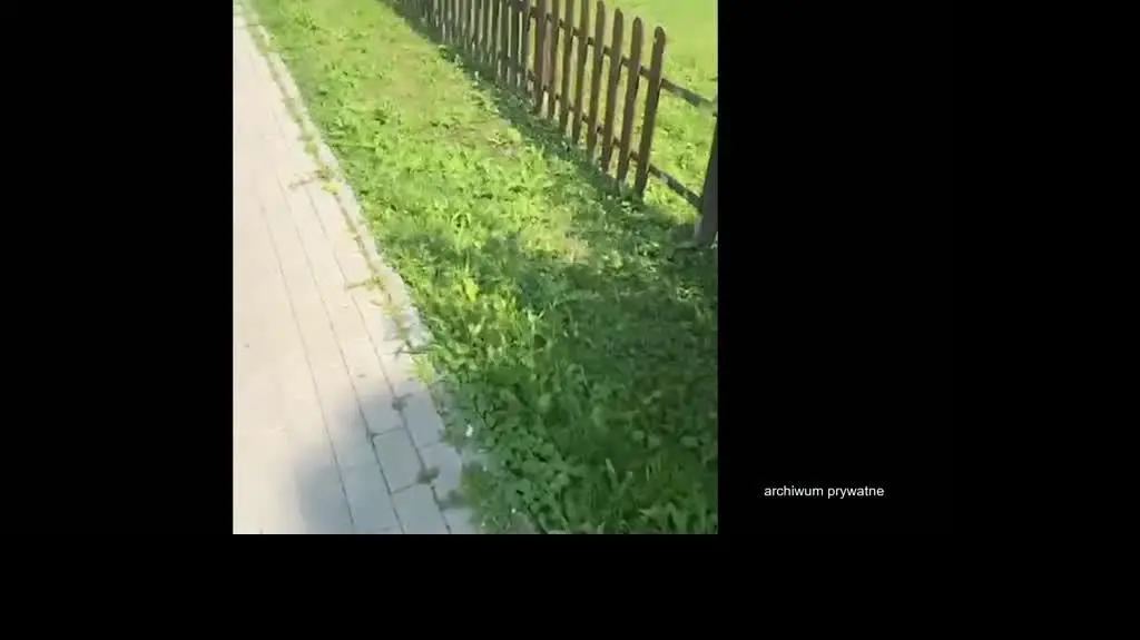 ZAJAWKA ATAKUJE NIEPELNOSPRAWNYCH