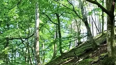 Staś był energicznym chłopcem