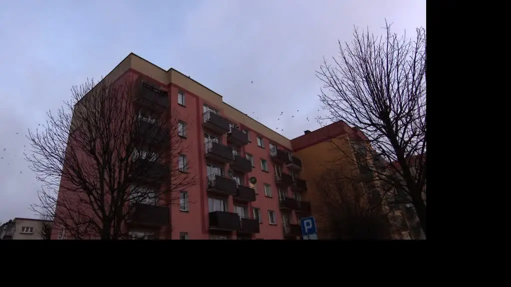 NIEPELNOSPRAWNI TRANSPORT cz2 ZAJAWKA