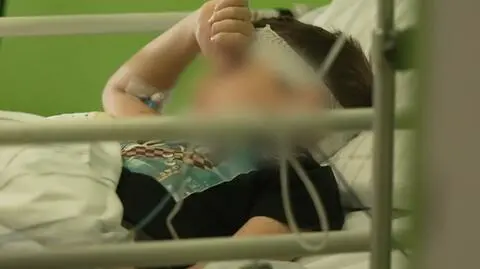 9-letni chłopiec został pogryziony przez psy. "Wlokły go do kojca"