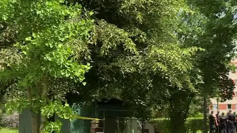 ZAJAWKA ZAMORDOWAL RODZICOW