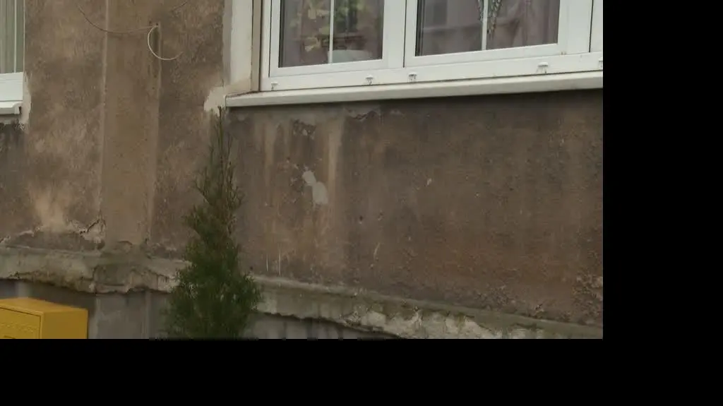 Pies śmiertelnie pogryzł dziecko
