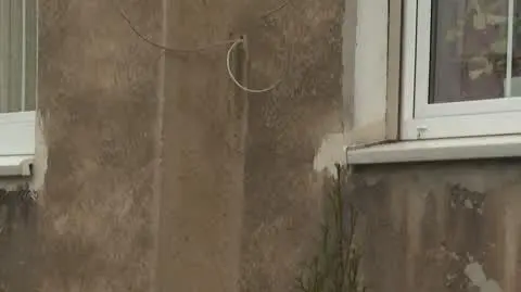 Pies śmiertelnie pogryzł dziecko