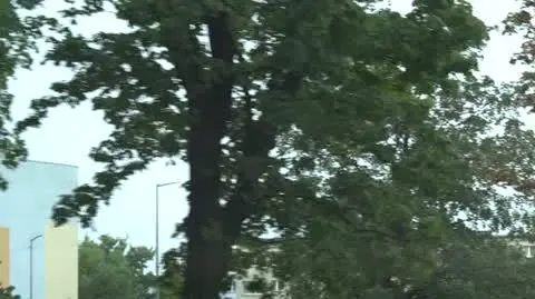 Atakował niepełnosprawnych