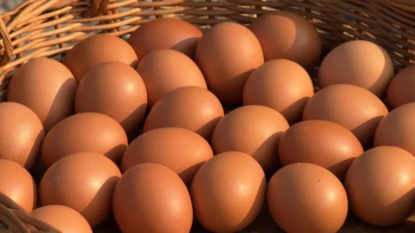 Czy wiejskie jaja rzeczywiście są wiejskie? [RAPORT KONSUMENCKI UWAGI!]