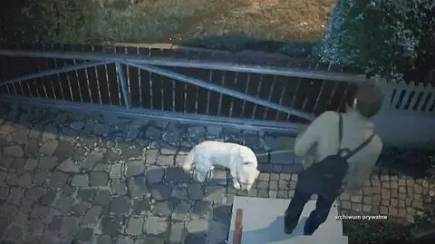 Dlaczego wszczęto alarm pierwszego stopnia dopiero 12 godzinach?