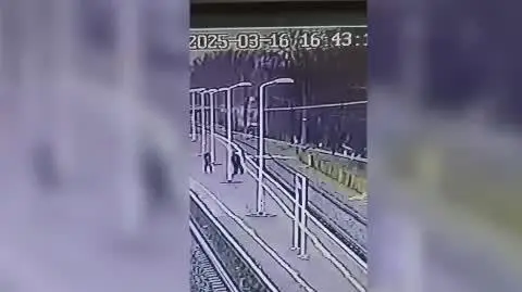 1-446141