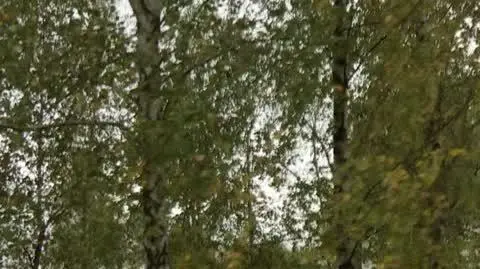 "Wcześniej byli jak rodzina"