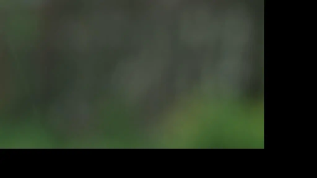 1Seria pobić nastolatków w Będzinie