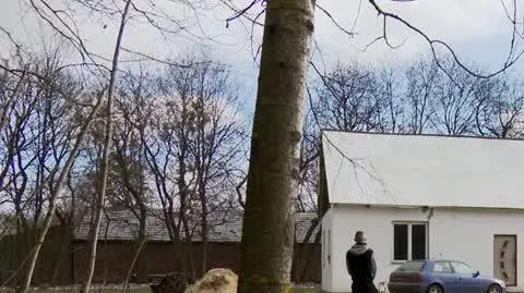 Porzucił szkołę, żeby zbudować dom dla siebie i rodziny