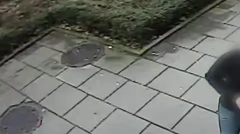 Jak wydawane są pieniądze z puszek?