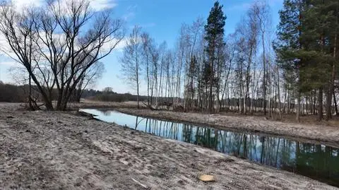 Były wójt przekopał teren Natura 2000?