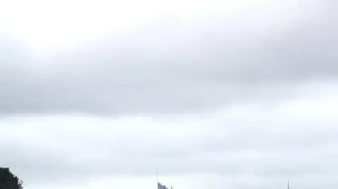 ZAJAWKA MAFIA PALIWOWA