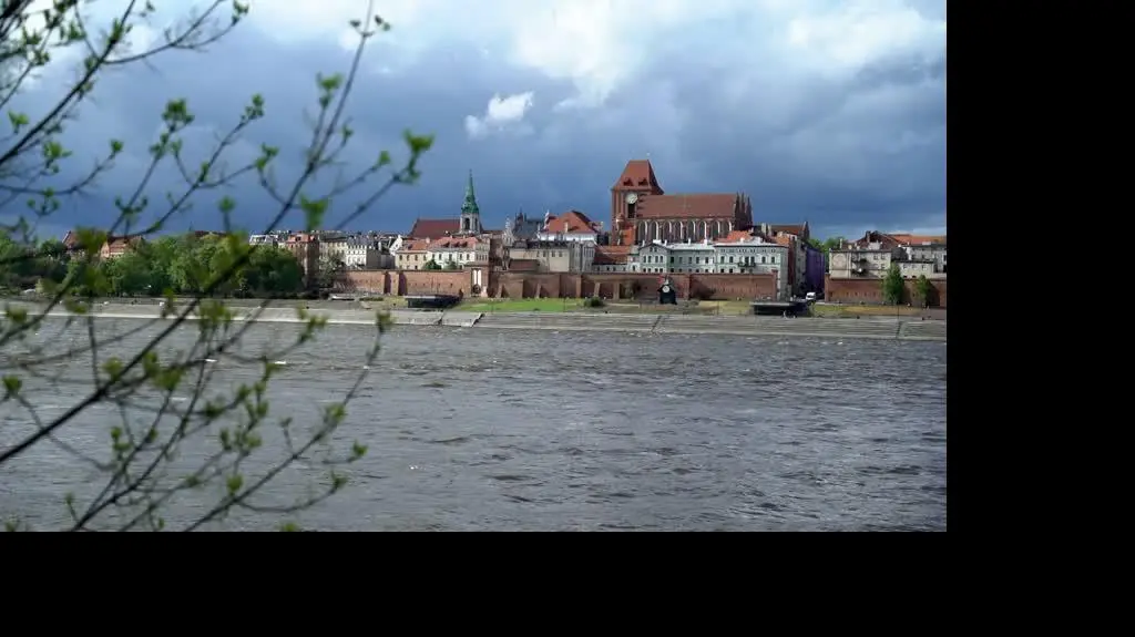 Coraz więcej leśnych zwierząt na ulicach miast