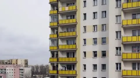 ZWIASTUN PANI BASIA