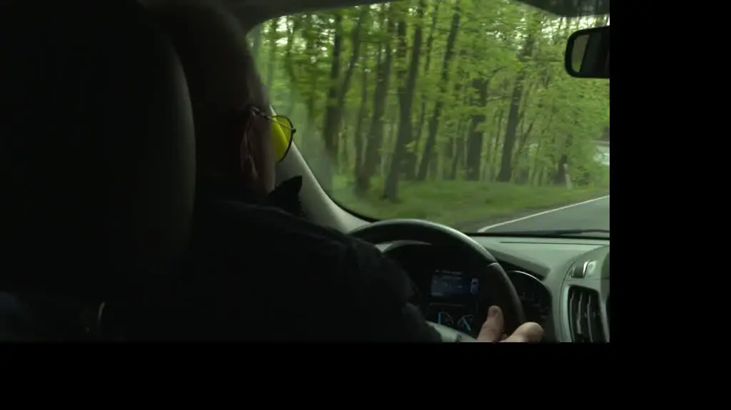 Martwe drzewo, zniszczone auto i ponad rok bezskutecznej walki o pieniądze