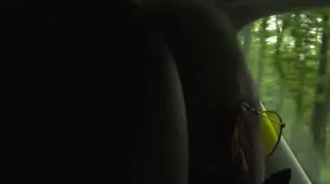 Martwe drzewo, zniszczone auto i ponad rok bezskutecznej walki o pieniądze