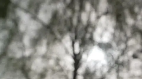 "Syn powiedział, że nie będzie chodził do szkoły"