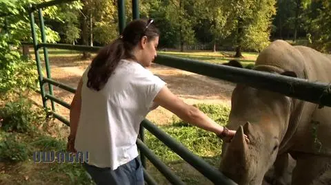 Dyrektorka zoo