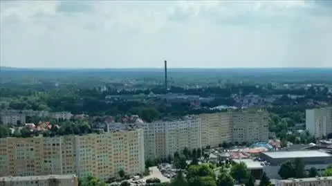 STUDZIENKA PROMO