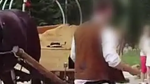 ZAJAWKA KONIE