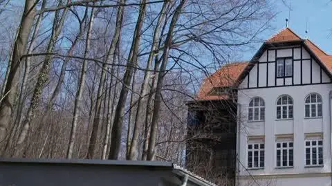 ZAJAWKA SKORY WALBRZYCH