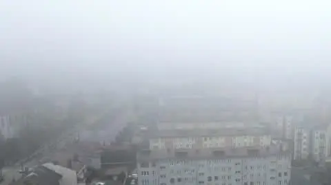 Fentanyl zabija na Mazowszu