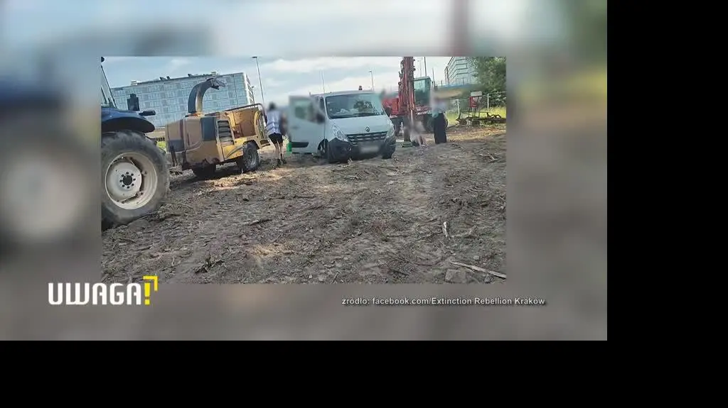 Wycinka drzew pod budowę linii tramwajowej