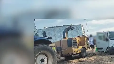 Wycinka drzew pod budowę linii tramwajowej