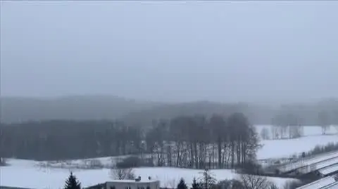 Wstrząsające nagrania z ferm norek