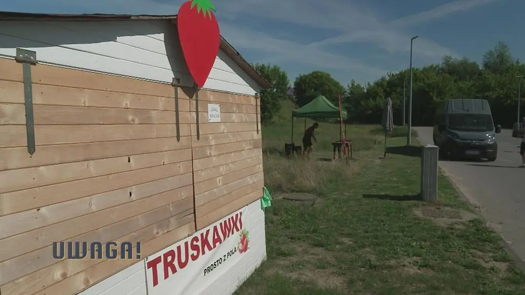 Klatka kluczowa-521561