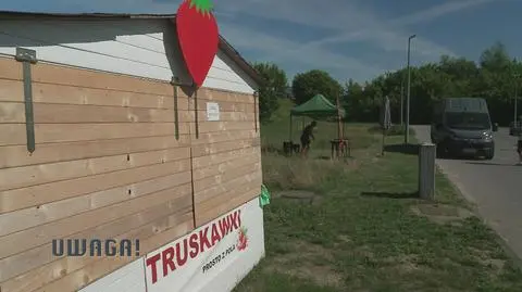 Klatka kluczowa-521561