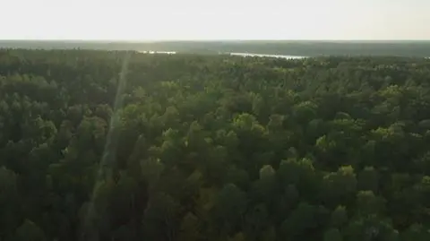 Klatka kluczowa-752853