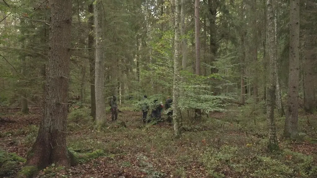 Klatka kluczowa-774096