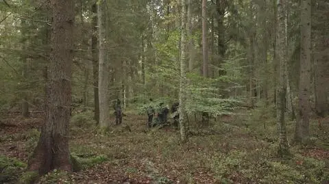 Klatka kluczowa-774096
