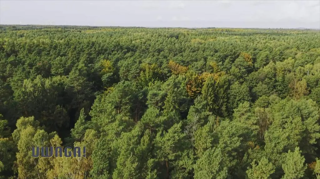 Klatka kluczowa-777270