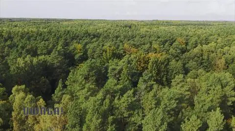 Klatka kluczowa-777270
