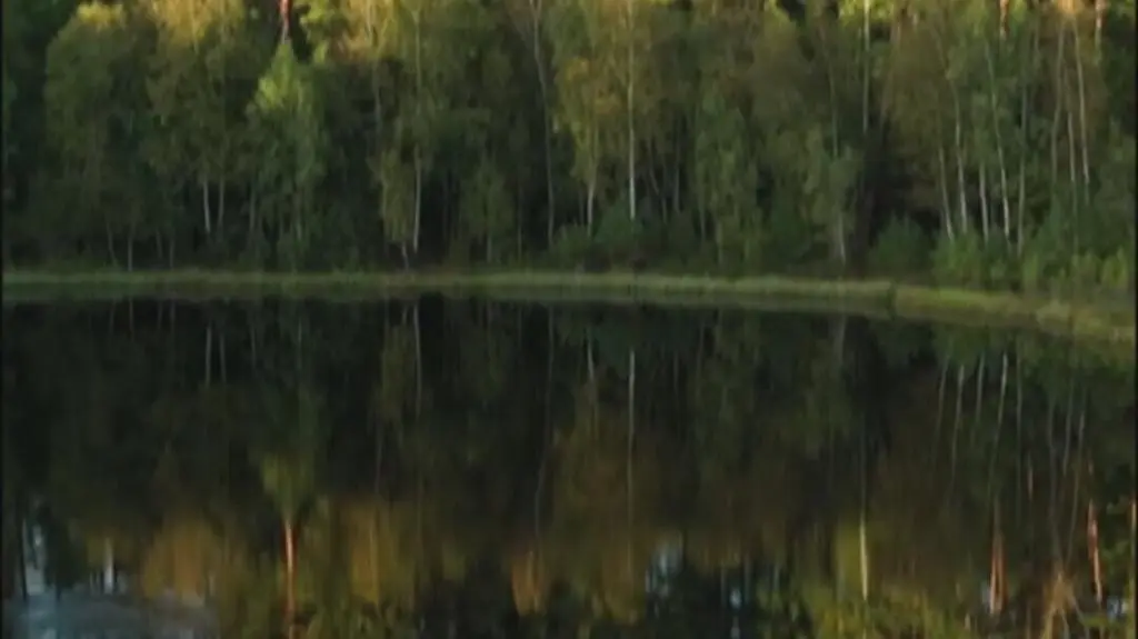 Klatka kluczowa-779367