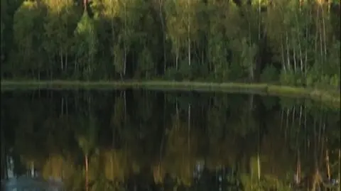 Klatka kluczowa-779367