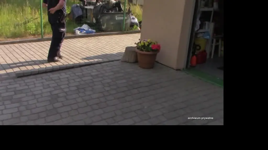 Co ma do powiedzenia Rodzina K