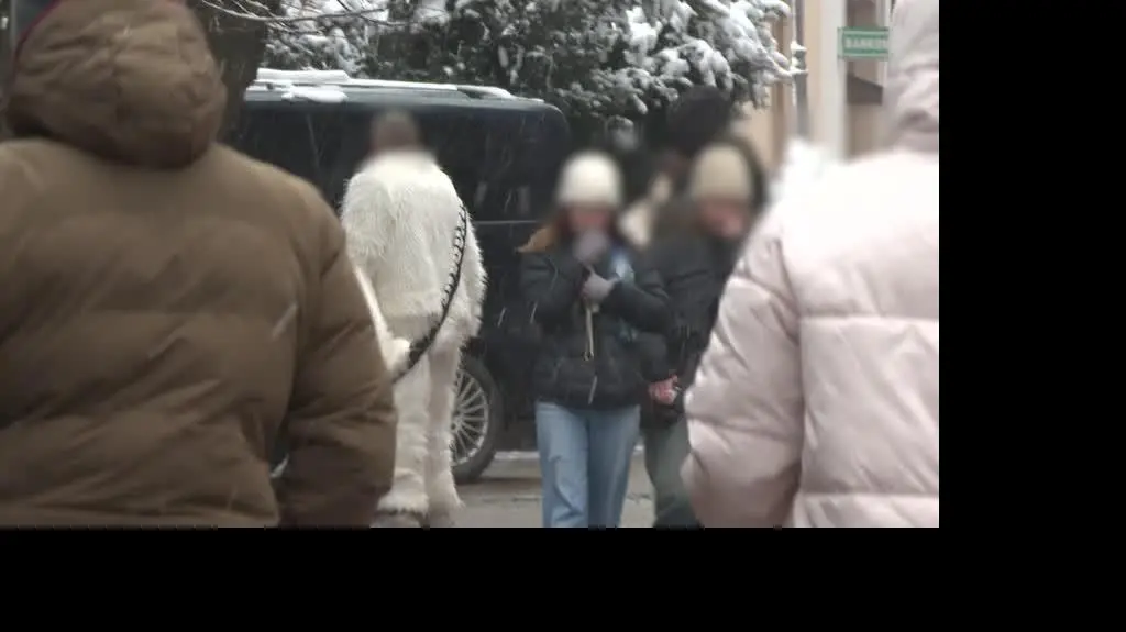 Pazerny miś z Zakopanego?
