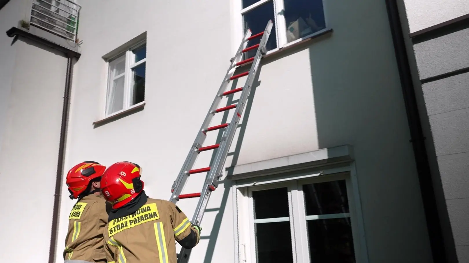 Kilkadziesiąt zwierząt w ciasnym mieszkaniu w bloku. „Co chwila jakieś zwierzę umiera”