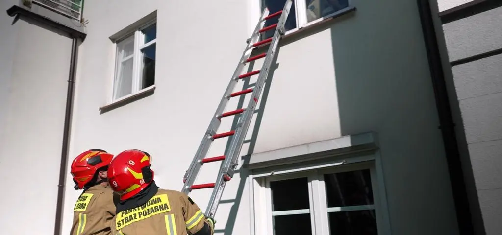 Kilkadziesiąt zwierząt w ciasnym mieszkaniu w bloku. „Co chwila jakieś zwierzę umiera”