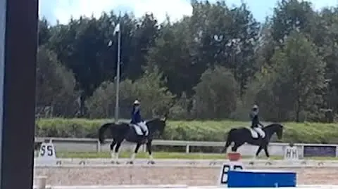 ZAJAWKA SW