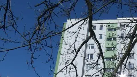 Oliwer i jego mama NET
