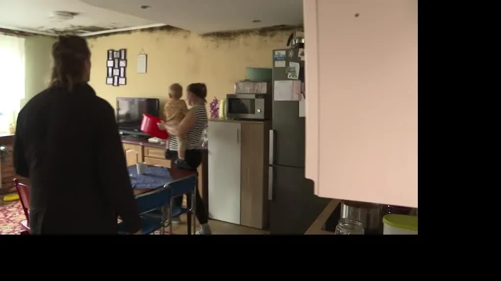 ZAJAWKA ZAGRZYBIONE MIESZKANIE
