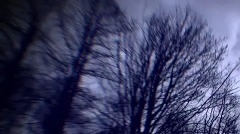 Nagrania świadczą o przemocy?