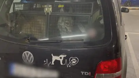 Trzymała psy w samochodzie na parkingu podziemnym. „To forma tortur”